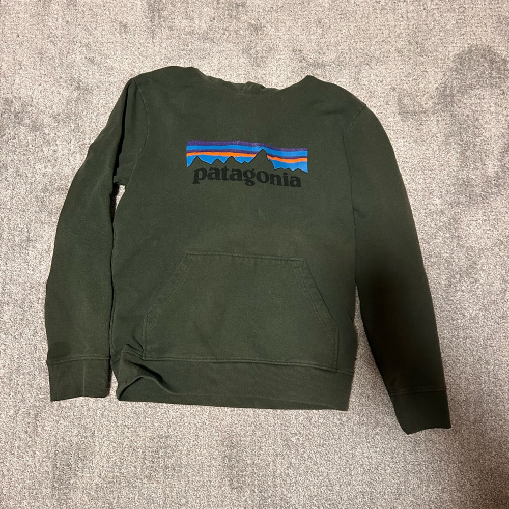 Small Patagonia Green Hooded Sweatshirt
